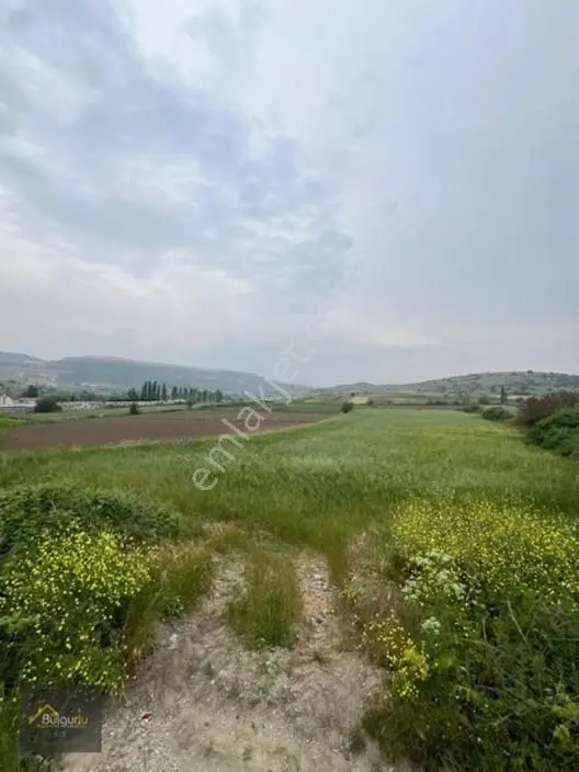 Bigadiç Salmanlıda Yatırımlık Arazi. — fotoğraf 13
