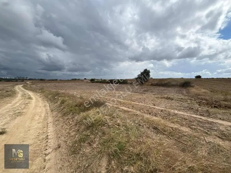 Medetoğlu'ndan İstasyon Tepe Mah Satılık Kupon Tek Tapu Tarla — fotoğraf 6