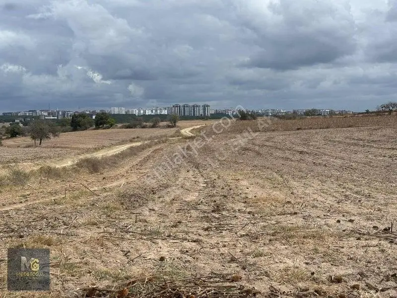 Medetoğlu'ndan İstasyon Tepe Mah Satılık Kupon Tek Tapu Tarla — fotoğraf 10