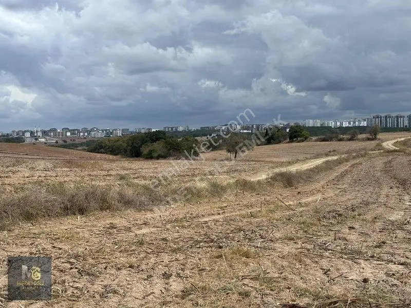 Medetoğlu'ndan İstasyon Tepe Mah Satılık Kupon Tek Tapu Tarla — fotoğraf 21