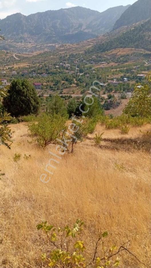 Tekirde Ana Yol Kenarı Satılık Villa Arsası — fotoğraf 2