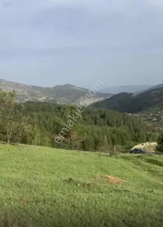 Tekirde Ana Yol Kenarı Satılık Villa Arsası — fotoğraf 6