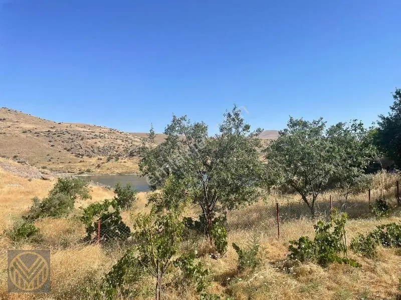 Kocasinan Yuvalı Mh'de Satılık Bağ — fotoğraf 18