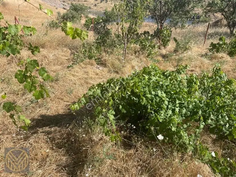 Kocasinan Yuvalı Mh'de Satılık Bağ — fotoğraf 19