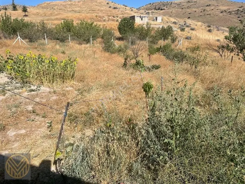 Kocasinan Yuvalı Mh'de Satılık Bağ — fotoğraf 27