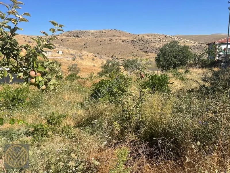 Kocasinan Yuvalı Mh'de Satılık Bağ — fotoğraf 29
