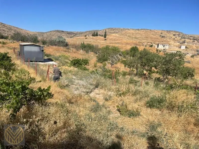 Kocasinan Yuvalı Mh'de Satılık Bağ — fotoğraf 30