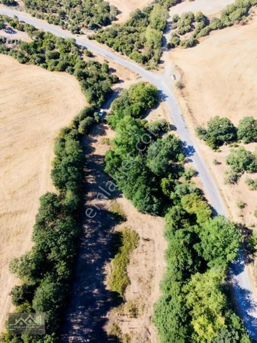 Biga Bezirganlar Yola Cepheli 4 Dönüm Yatırımlık Tarla