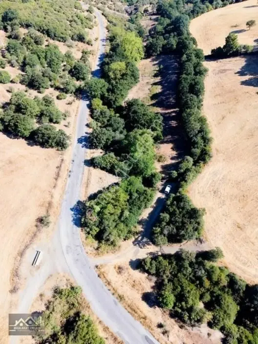 Biga Bezirganlar Yola Cepheli 4 Dönüm Yatırımlık Tarla — fotoğraf 3