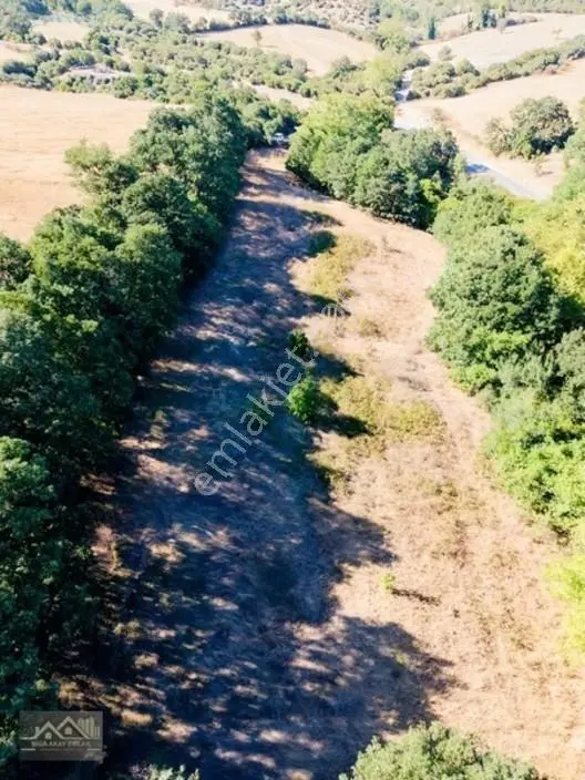 Biga Bezirganlar Yola Cepheli 4 Dönüm Yatırımlık Tarla — fotoğraf 6