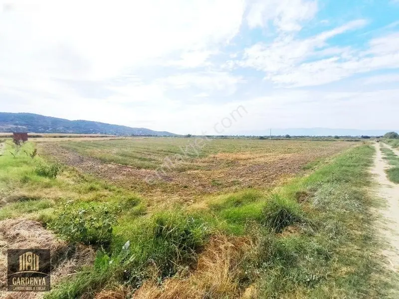 Söke Nalbantlar Köyü Fırsat 13,367,92 M2 Tarla Satılık — fotoğraf 5