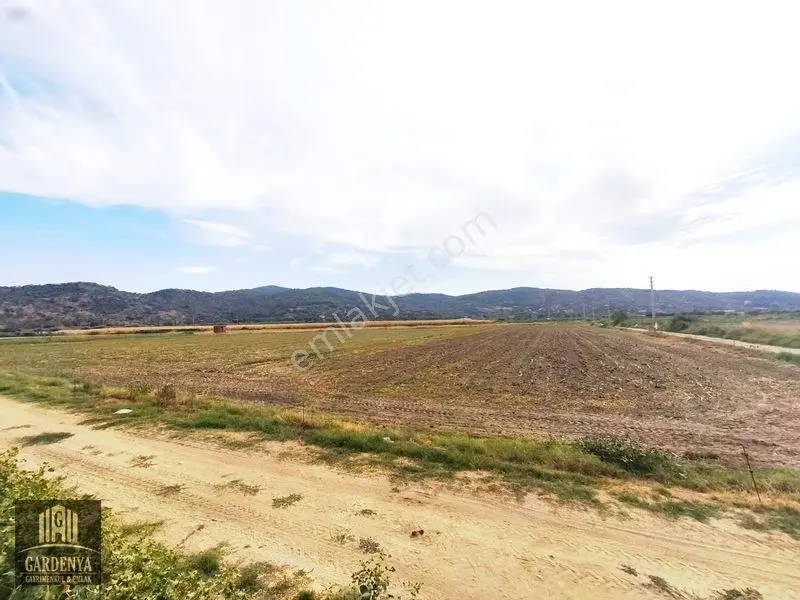 Söke Nalbantlar Köyü Fırsat 13,367,92 M2 Tarla Satılık — fotoğraf 6