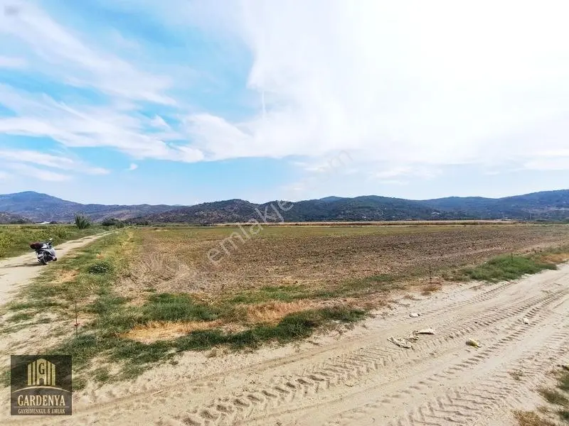 Söke Nalbantlar Köyü Fırsat 13,367,92 M2 Tarla Satılık — fotoğraf 8