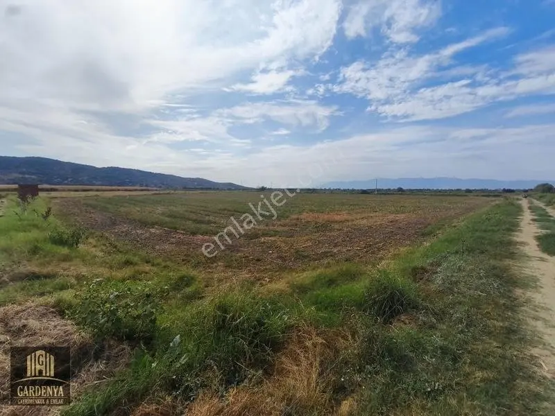 Söke Nalbantlar Köyü Fırsat 13,367,92 M2 Tarla Satılık — fotoğraf 9