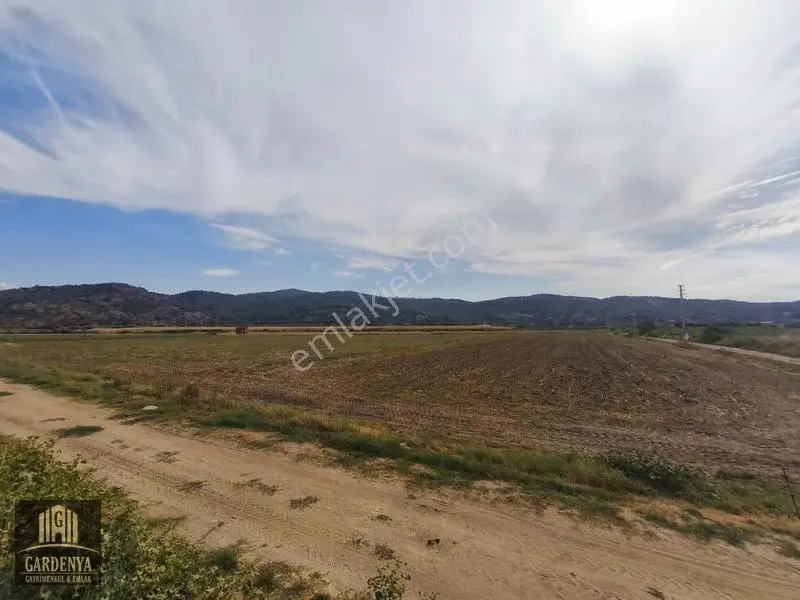 Söke Nalbantlar Köyü Fırsat 13,367,92 M2 Tarla Satılık — fotoğraf 10