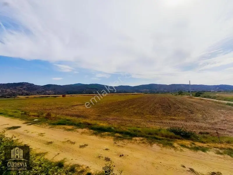 Söke Nalbantlar Köyü Fırsat 13,367,92 M2 Tarla Satılık — fotoğraf 11