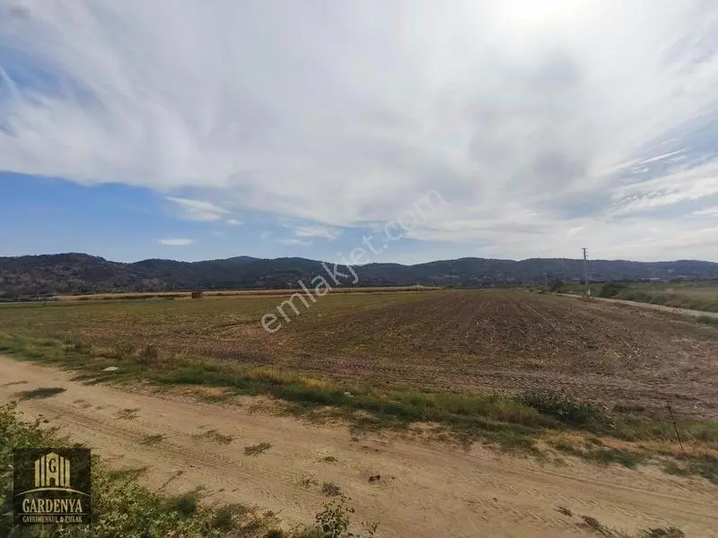 Söke Nalbantlar Köyü Fırsat 13,367,92 M2 Tarla Satılık — fotoğraf 12