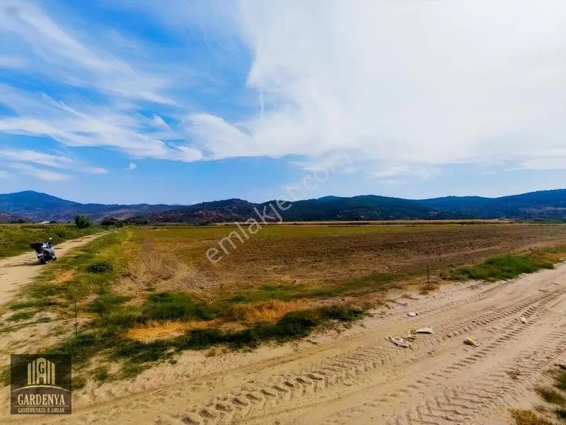 Söke Nalbantlar Köyü Fırsat 13,367,92 M2 Tarla Satılık — fotoğraf 13