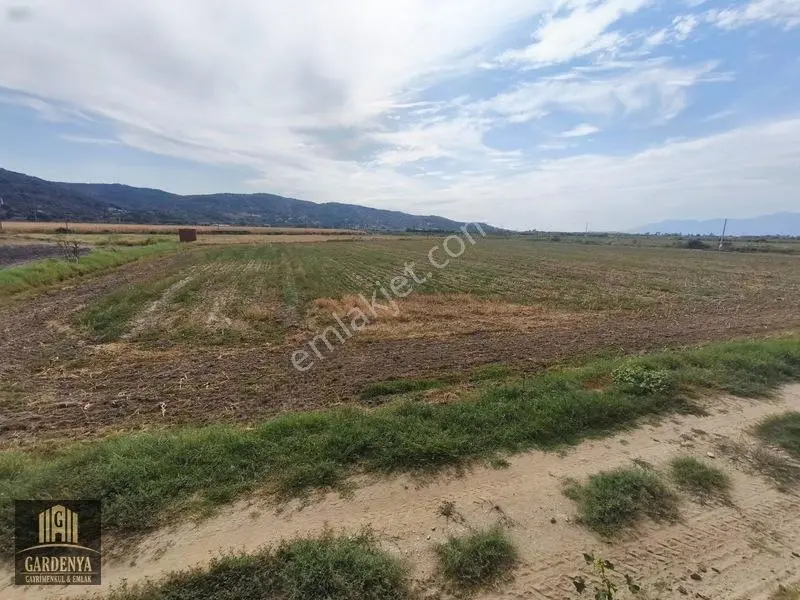 Söke Nalbantlar Köyü Fırsat 13,367,92 M2 Tarla Satılık — fotoğraf 14