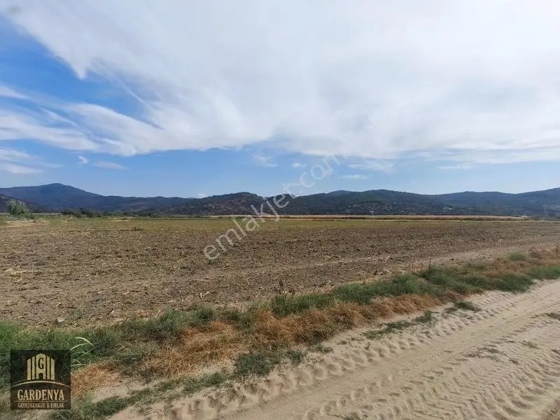 Söke Nalbantlar Köyü Fırsat 13,367,92 M2 Tarla Satılık — fotoğraf 15