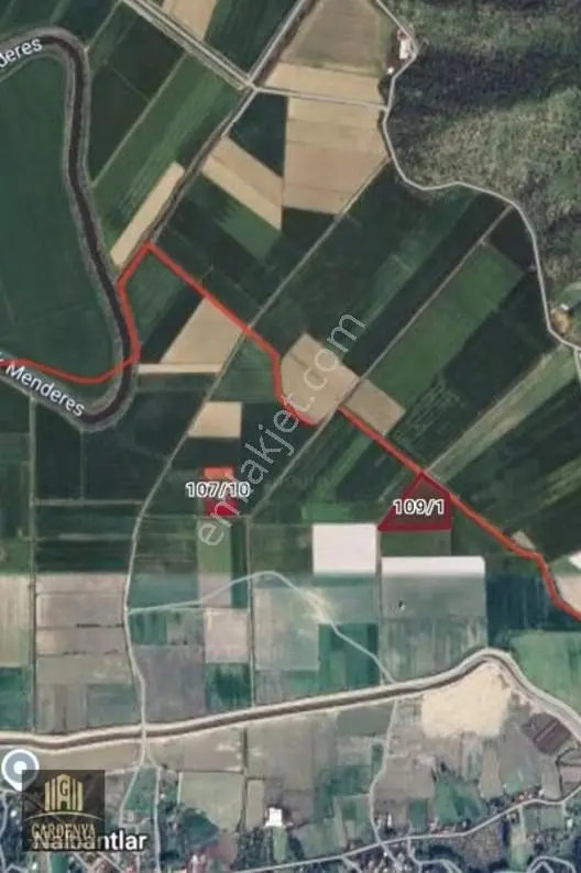 Söke Nalbantlar Köyü Fırsat 13,367,92 M2 Tarla Satılık — fotoğraf 16