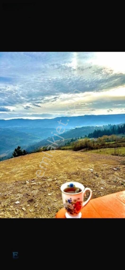 Hamidiye Girişinde 100m Yol Cephesi Olan Kupon Arazi