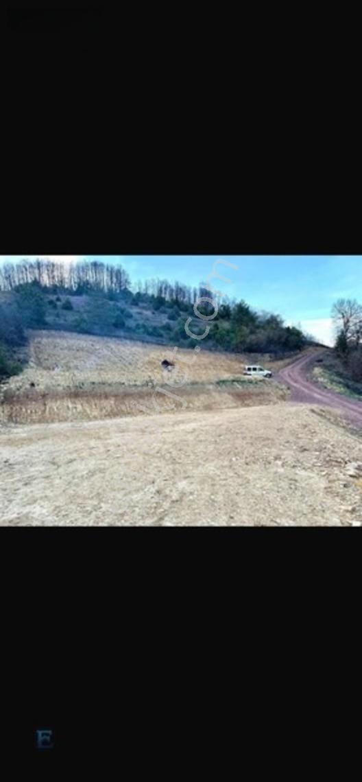 Hamidiye Girişinde 100m Yol Cephesi Olan Kupon Arazi — fotoğraf 2