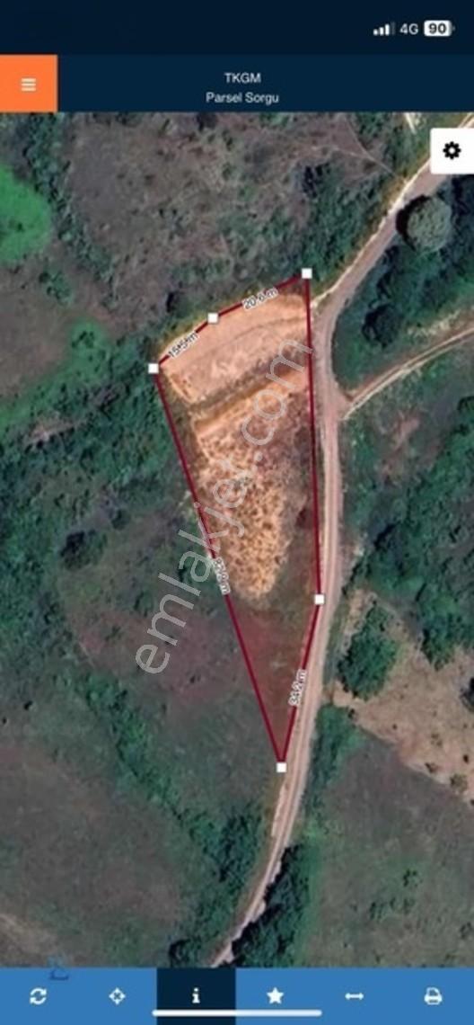Hamidiye Girişinde 100m Yol Cephesi Olan Kupon Arazi — fotoğraf 3
