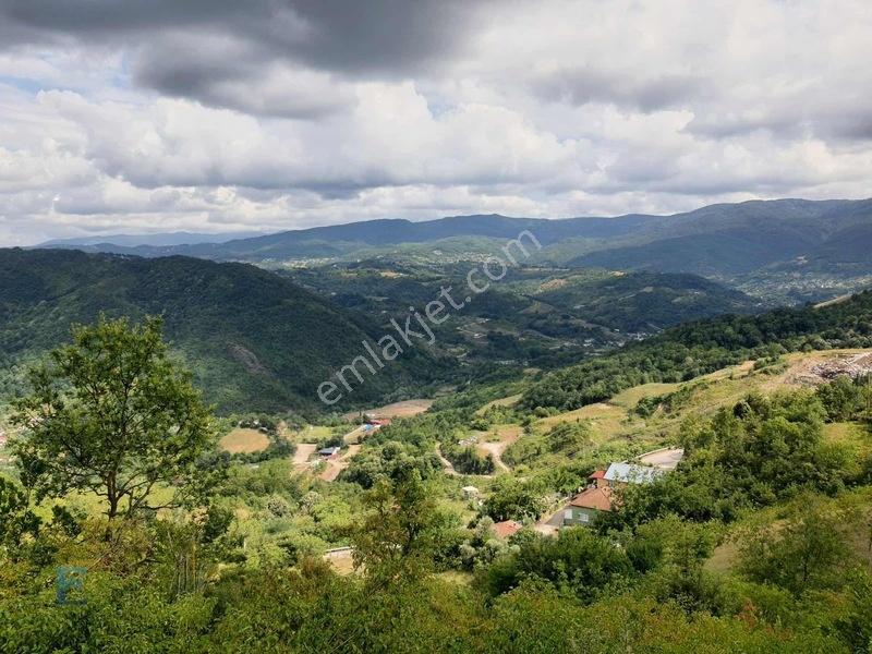Hamidiye Girişinde 100m Yol Cephesi Olan Kupon Arazi — fotoğraf 4