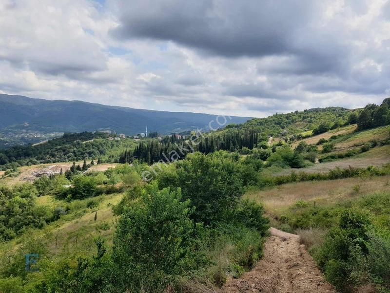 Hamidiye Girişinde 100m Yol Cephesi Olan Kupon Arazi — fotoğraf 5