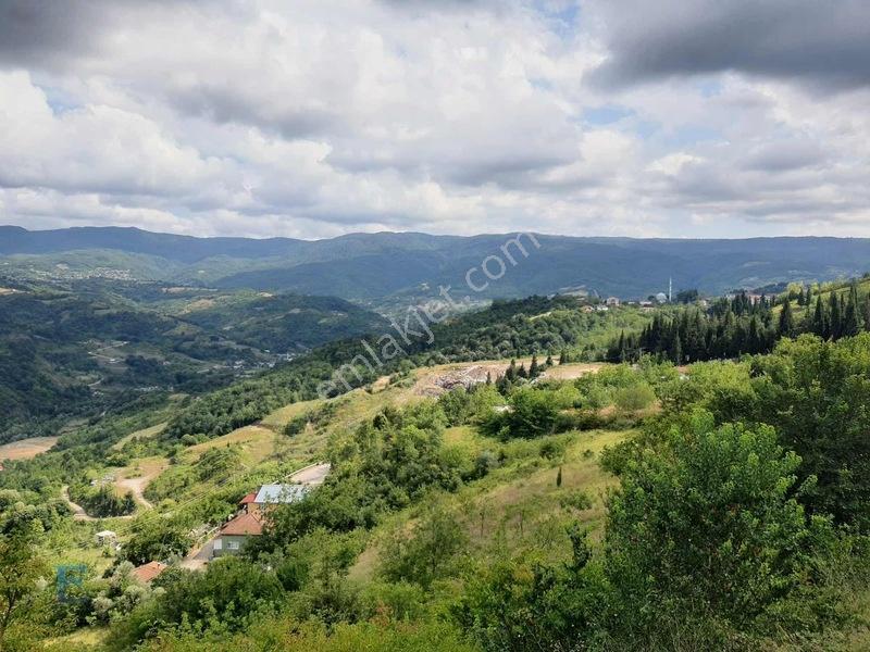 Hamidiye Girişinde 100m Yol Cephesi Olan Kupon Arazi — fotoğraf 6