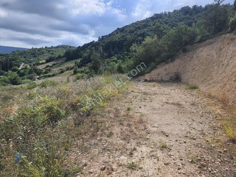 Hamidiye Girişinde 100m Yol Cephesi Olan Kupon Arazi — fotoğraf 7