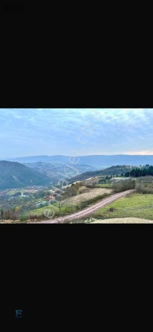 Hamidiye Girişinde 100m Yol Cephesi Olan Kupon Arazi — fotoğraf 8