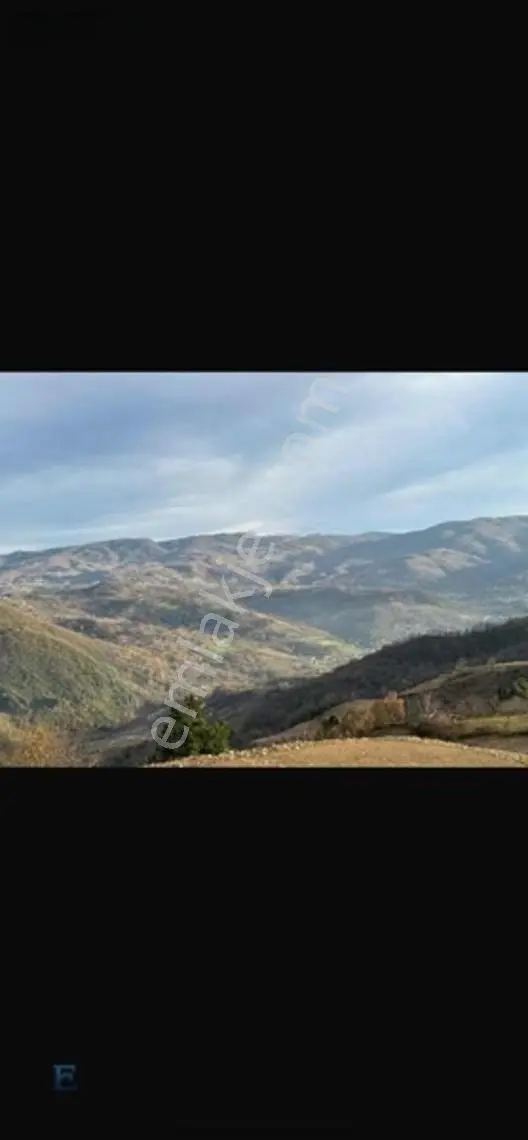 Hamidiye Girişinde 100m Yol Cephesi Olan Kupon Arazi — fotoğraf 9
