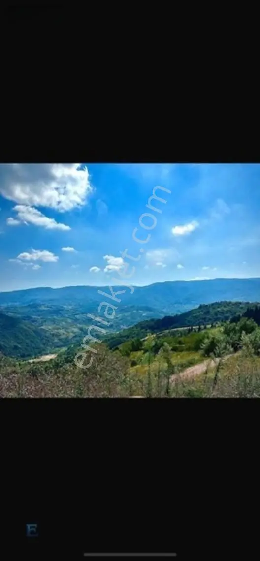 Hamidiye Girişinde 100m Yol Cephesi Olan Kupon Arazi — fotoğraf 10