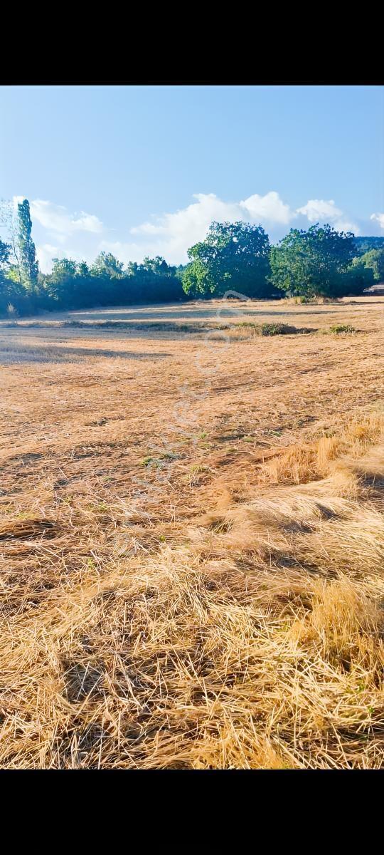 Acil-İğneada'Ya Yakın Yenice'De 1690 M2 Tek Tapu Dereye Cephe