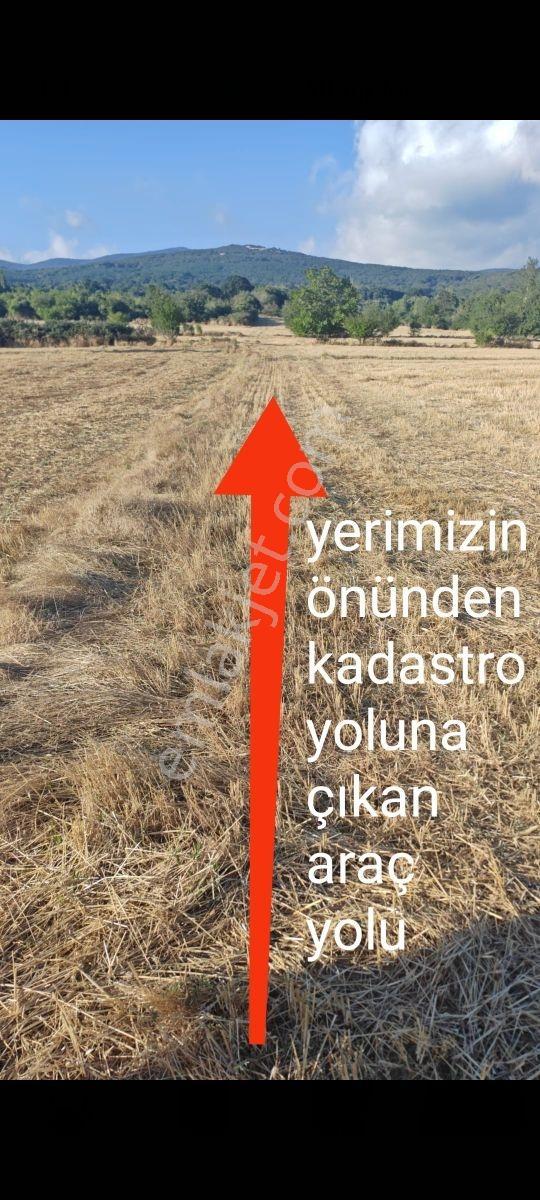 Acil-iğneada'ya Yakın Yenice'de 1690 M2 Tek Tapu Dereye Cephe — fotoğraf 2