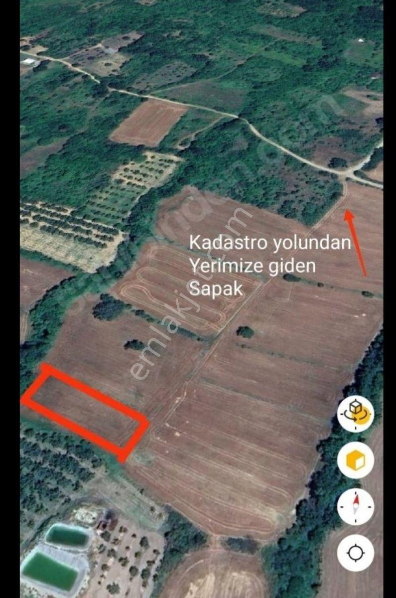 Acil-iğneada'ya Yakın Yenice'de 1690 M2 Tek Tapu Dereye Cephe — fotoğraf 3