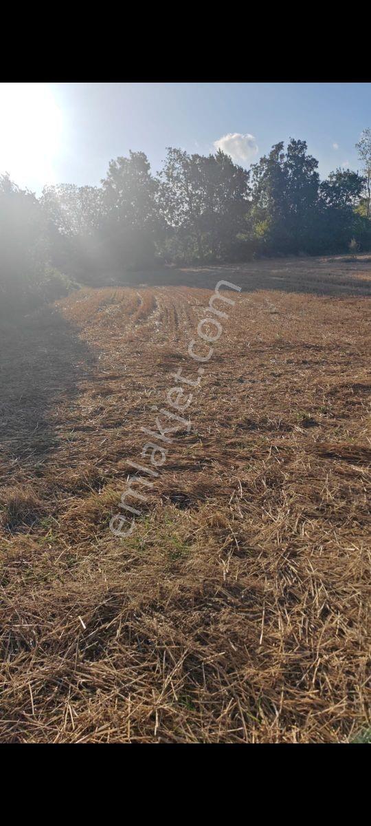 Acil-iğneada'ya Yakın Yenice'de 1690 M2 Tek Tapu Dereye Cephe — fotoğraf 4