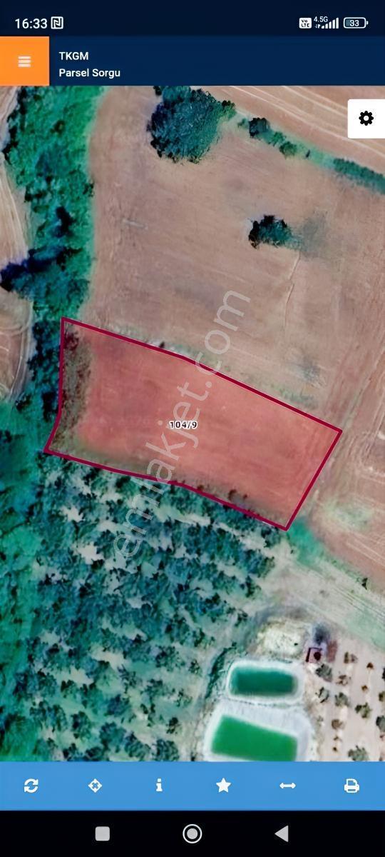 Acil-iğneada'ya Yakın Yenice'de 1690 M2 Tek Tapu Dereye Cephe — fotoğraf 7