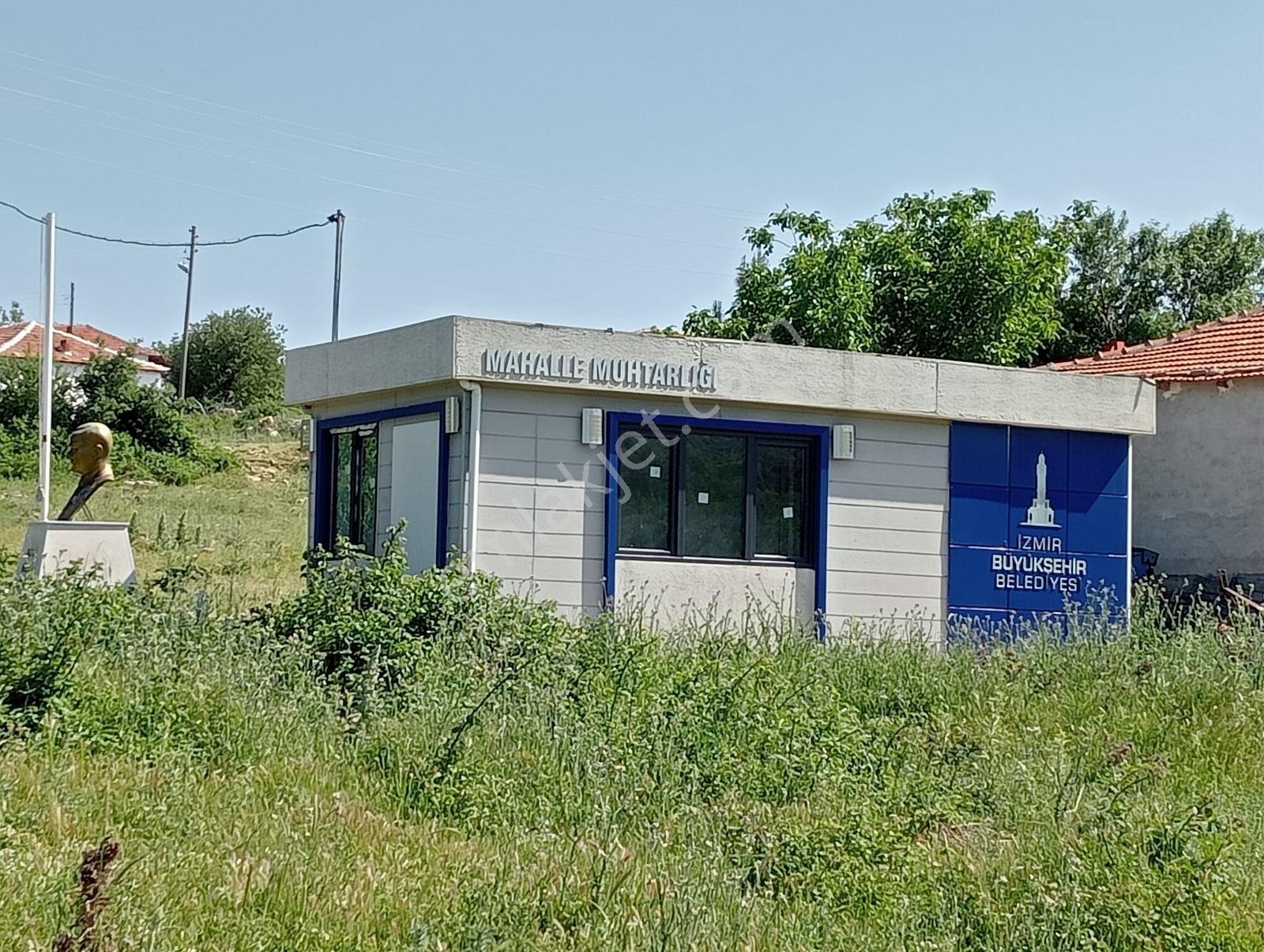 400 Ağaçlık Zeytinlik — fotoğraf 5