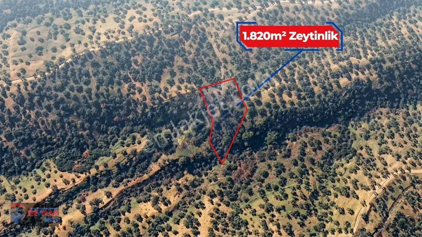 Re/max İnci'den Burhaniye Sübeylidere’de 1820 M² Satılık Zeytinlik — fotoğraf 11