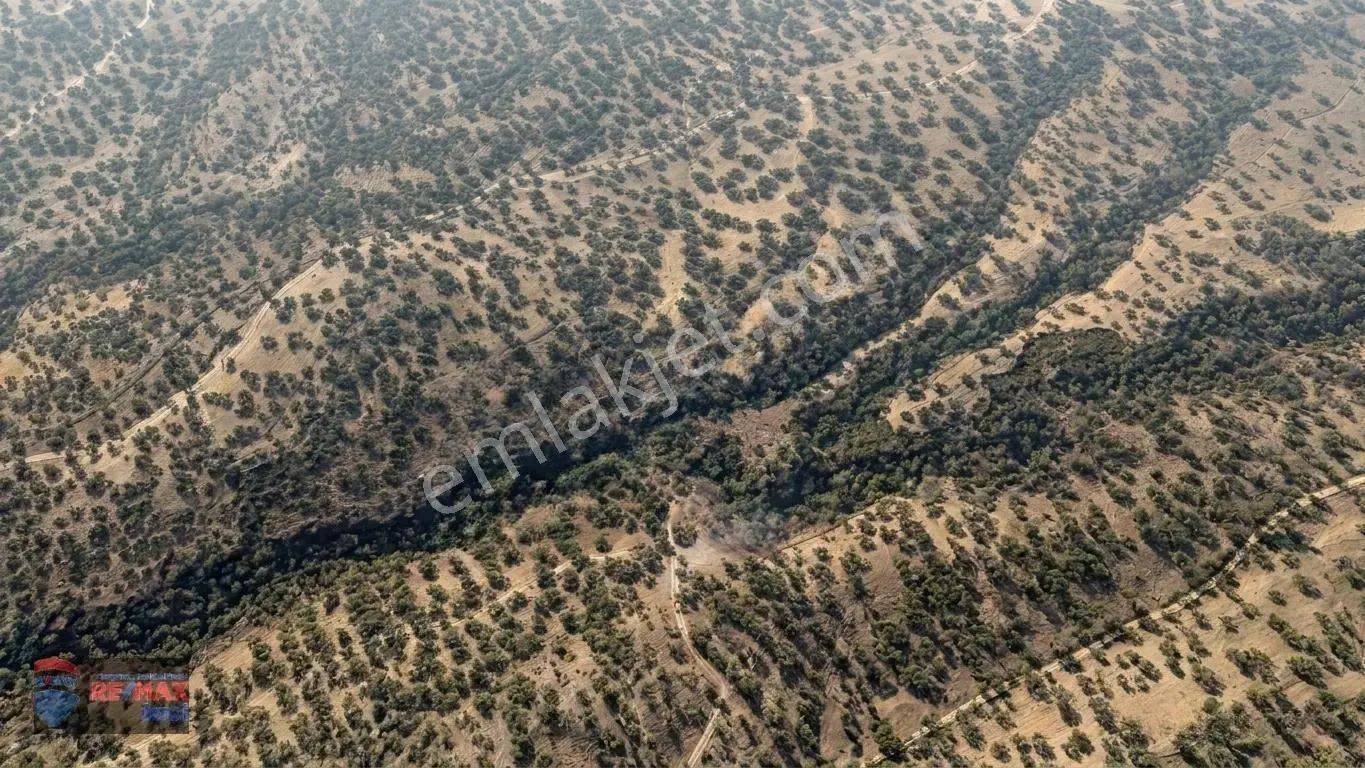 Re/max İnci'den Burhaniye Sübeylidere’de 1820 M² Satılık Zeytinlik — fotoğraf 16
