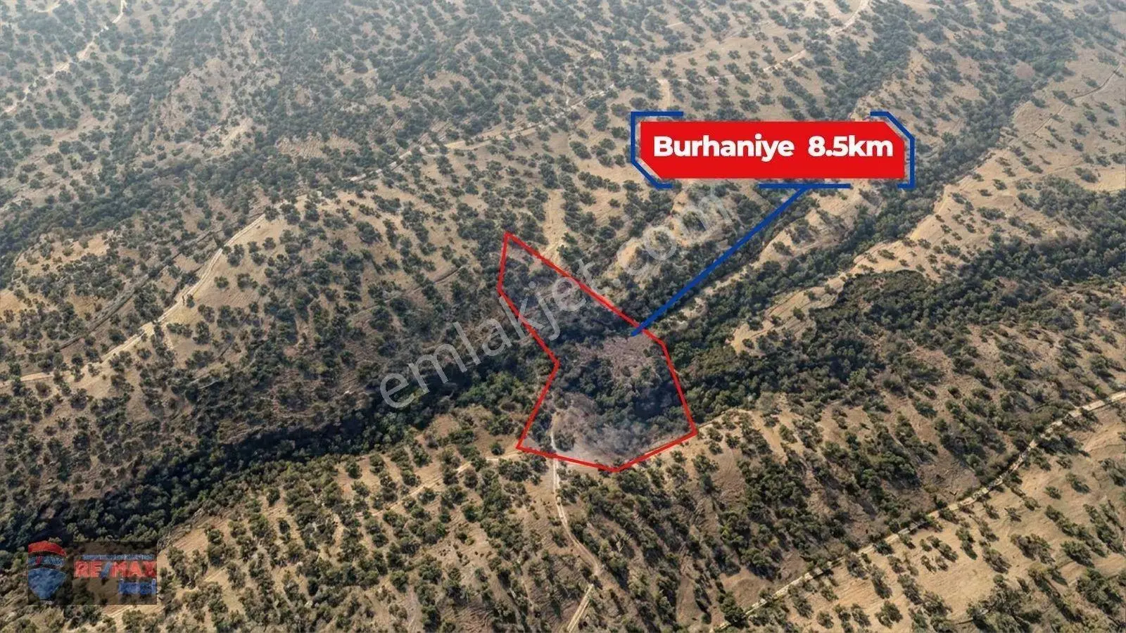 Re/max İnci'den Burhaniye Sübeylidere’de 1820 M² Satılık Zeytinlik — fotoğraf 23