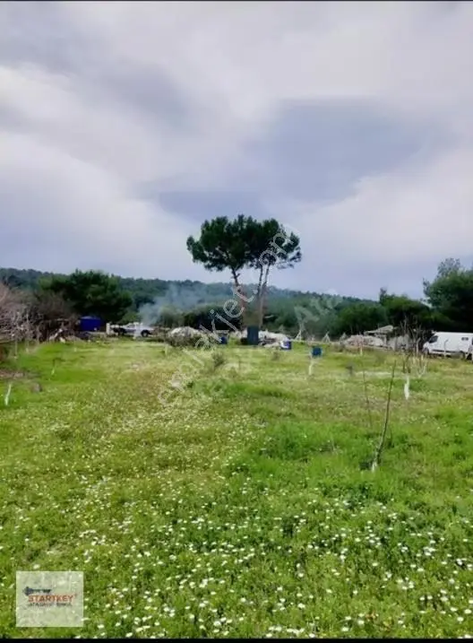Buca Zafer Mahallesi'nde Arsalı Ve Müstakil Satılık Ev — fotoğraf 8