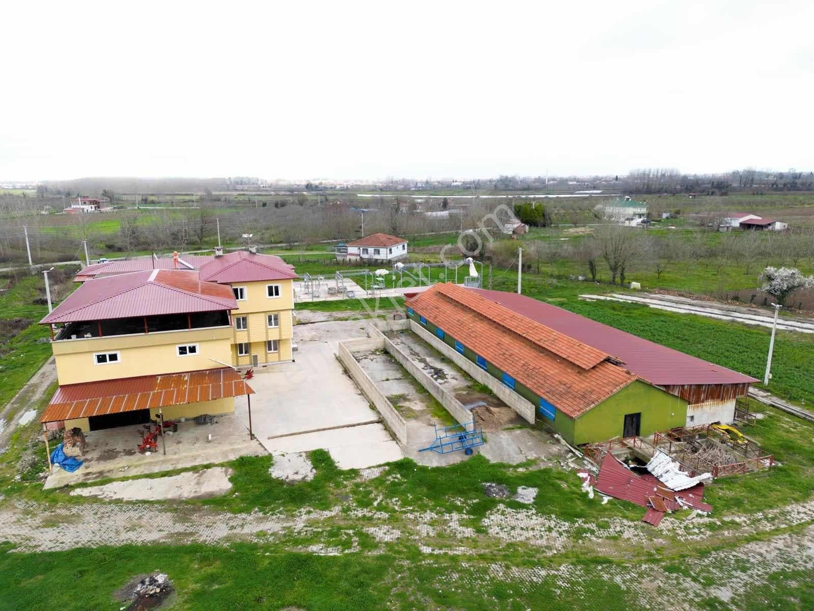 Akdur'Dan Çarşamba'Da 154 Dönüm Çiftlik