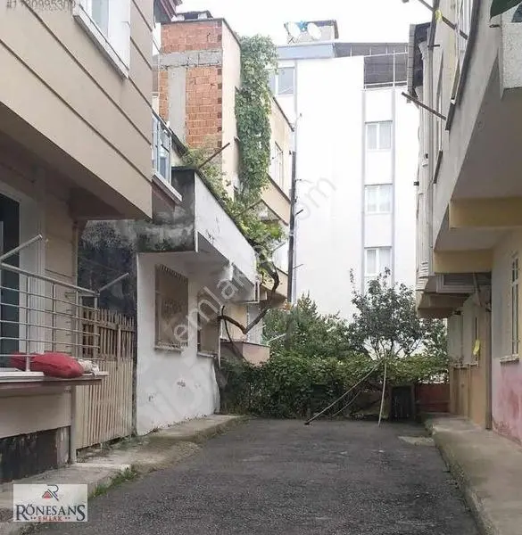 Rönesans Emlaktan Tek Katlı Müstakil Ev — fotoğraf 6
