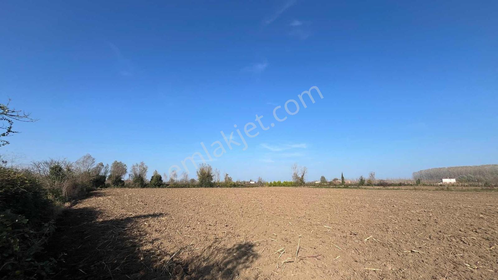 Akdur'Dan Çarşamba Karamustafalı'Da Satılık 7700M² Tarla