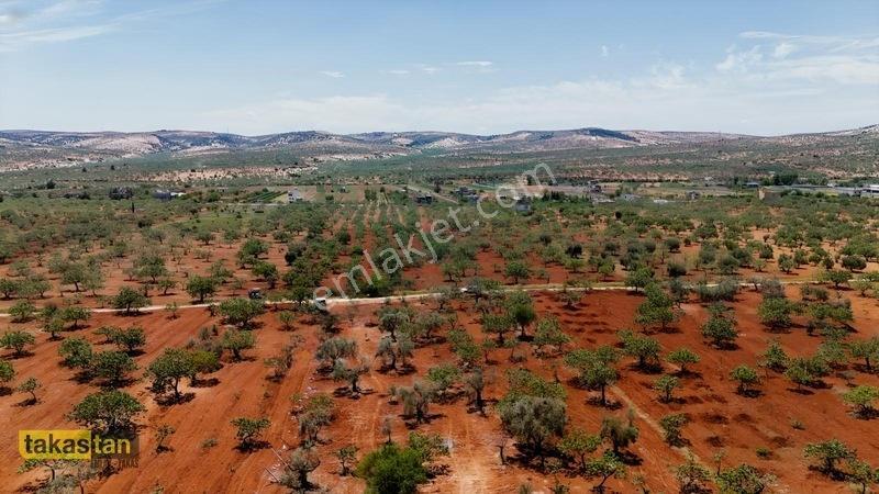Aşağıarıl Tek Tapu Ful Fıstık Zeytin Resmi Yolu Cepheli Fırsat — fotoğraf 2