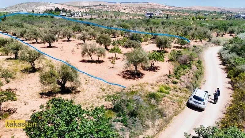 Yukarı Arıl Tek Tapu Ful Fıstık Zeytin Resmi Yola Cepheli Fırsat — fotoğraf 7